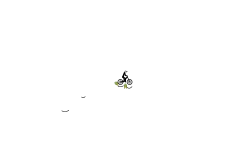 dont move