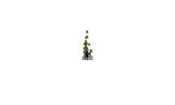Solar system auto