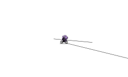 Blob