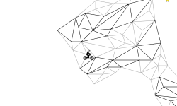 not paper