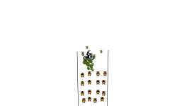Ysr7yg7yg6