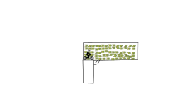 Gun Auto