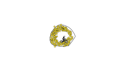 circle co