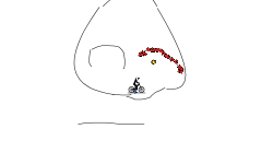 Mr. Nose