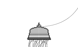Jellyfish