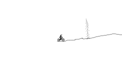 37. A single tree