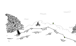 WINTER PINES