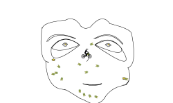 The Mask (auto)