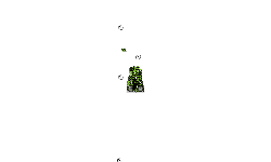 The Invisible mines