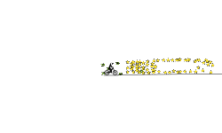 2000 stars no joke
