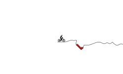 off road holdup