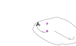 hog track