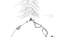 Forest Run 2