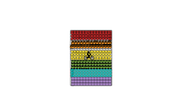THE RAINBOW RIDER