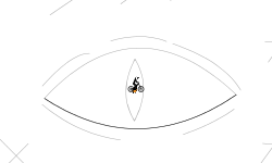 More Than Meets the Eye.