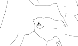 The cave