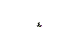 speed