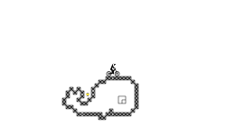 Whale