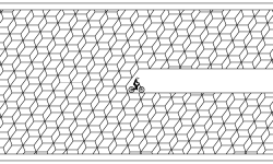 Illusion Track