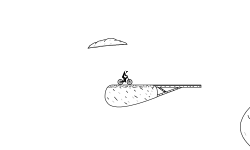 Floating jumps