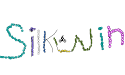 silkwing