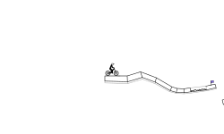 The Race