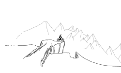 Forest Run
