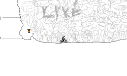small forest