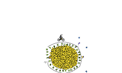 1000 Stars