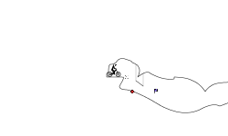Cave (Medium?)
