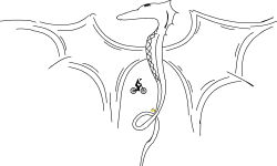 The Lost Dragonet