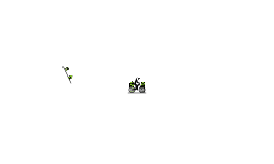 DONT_MOVE 11