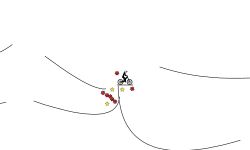 fun tun 10