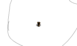 Hard Heli