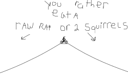 would you rather