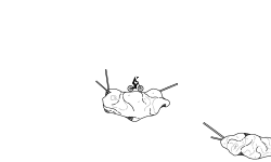 Space Rocks