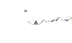 rocky climb