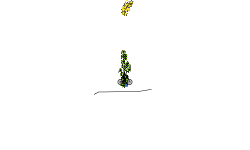 Speedy