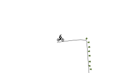 the roller coaster