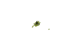 FLIP$ 2