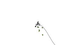 jumps and bumps