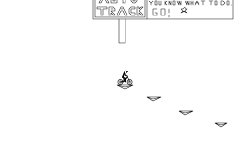 Longest Auto Track