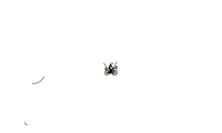 Short auto