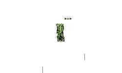 I don't know why I made this.