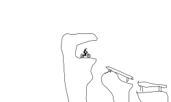 Mountain Trail