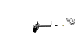 Revolver comp
