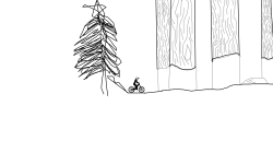 The Woods
