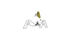 404fdsfe