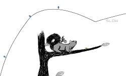 Squirrels