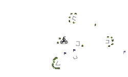Spin Auto